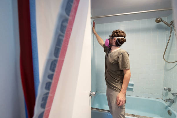 Best Mold Removal for HVAC Installations  in Middleborough Center, MA