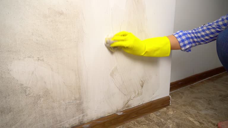 Best Mold Prevention Services  in Middleborough Center, MA
